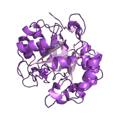 Example Structure of mannan endo-1,4-beta-mannosidase EC#: 3.2.1.78