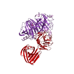 Example Structure of endo-1,4-beta-xylanase EC#: 3.2.1.8