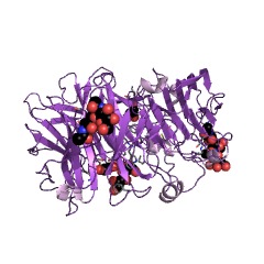 Example Structure of fructan beta-fructosidase EC#: 3.2.1.80