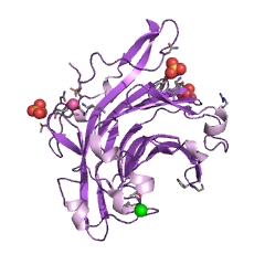 Example Structure of beta-agarase EC#: 3.2.1.81