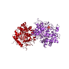 Example Structure of 6-phospho-beta-galactosidase EC#: 3.2.1.85
