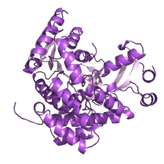 Example Structure of 6-phospho-beta-glucosidase EC#: 3.2.1.86