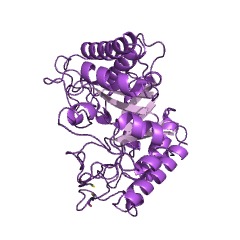 Example Structure of arabinogalactan endo-beta-1,4-galactanase EC#: 3.2.1.89