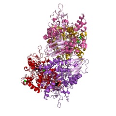 Example Structure of alpha,alpha-phosphotrehalase EC#: 3.2.1.93
