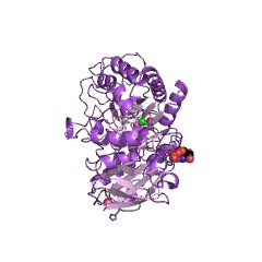 Example Structure of glucan 1,4-alpha-maltohexaosidase EC#: 3.2.1.98