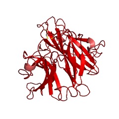 Example Structure of arabinan endo-1,5-alpha-L-arabinanase EC#: 3.2.1.99