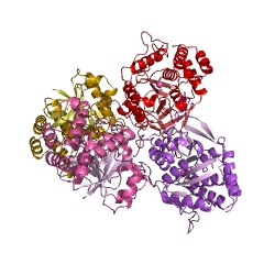 Example Structure of purine nucleosidase EC#: 3.2.2.1
