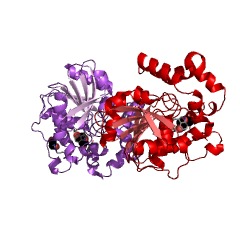 Example Structure of pyrimidine-5'-nucleotide nucleosidase EC#: 3.2.2.10