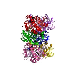 Example Structure of methylthioadenosine nucleosidase EC#: 3.2.2.16