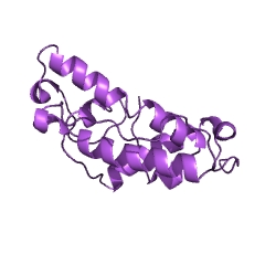 Example Structure of deoxyribodipyrimidine endonucleosidase EC#: 3.2.2.17