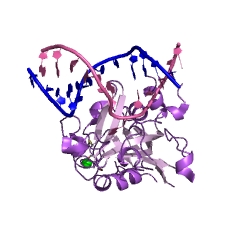 Example Structure of DNA-3-methyladenine glycosylase I EC#: 3.2.2.20