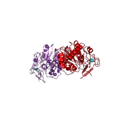 Example Structure of DNA-formamidopyrimidine glycosylase EC#: 3.2.2.23