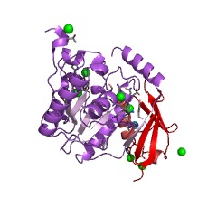 Example Structure of thymine-DNA glycosylase EC#: 3.2.2.29