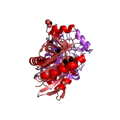Example Structure of aminodeoxyfutalosine nucleosidase EC#: 3.2.2.30