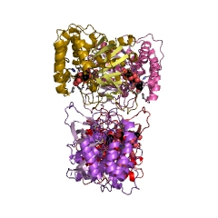 Example Structure of ribosylpyrimidine nucleosidase EC#: 3.2.2.8