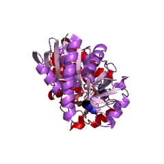 Example Structure of adenosylhomocysteine nucleosidase EC#: 3.2.2.9