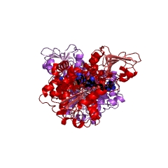 Example Structure of adenosylhomocysteinase EC#: 3.3.1.1