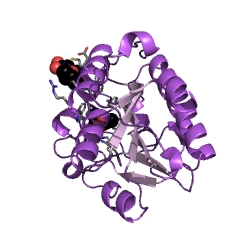 Example Structure of isochorismatase EC#: 3.3.2.1