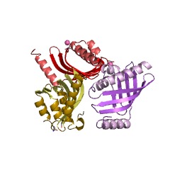 Example Structure of cholesterol-5,6-oxide hydrolase EC#: 3.3.2.11