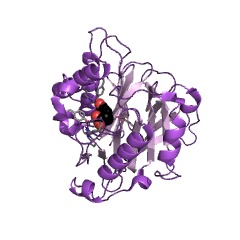 Example Structure of chorismatase EC#: 3.3.2.13