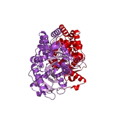 Example Structure of epoxide hydrolase EC#: 3.3.2.3