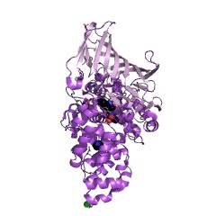 Example Structure of leukotriene-A4 hydrolase EC#: 3.3.2.6