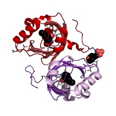 Example Structure of limonene-1,2-epoxide hydrolase EC#: 3.3.2.8