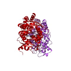 Example Structure of microsomal epoxide hydrolase EC#: 3.3.2.9