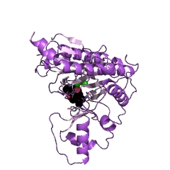 Example Structure of methionyl aminopeptidase EC#: 3.4.11.18