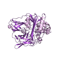 Example Structure of D-stereospecific aminopeptidase EC#: 3.4.11.19