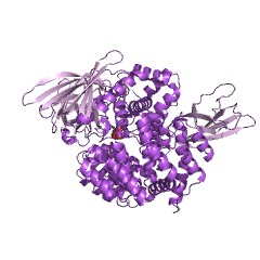 Example Structure of membrane alanyl aminopeptidase EC#: 3.4.11.2