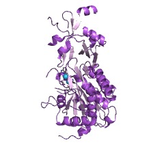 Example Structure of aspartyl aminopeptidase EC#: 3.4.11.21