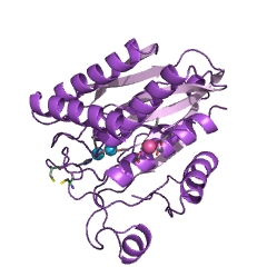 Example Structure of aminopeptidase S EC#: 3.4.11.24