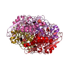Example Structure of beta-peptidyl aminopeptidase EC#: 3.4.11.25