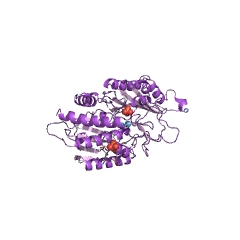 Example Structure of tripeptide aminopeptidase EC#: 3.4.11.4