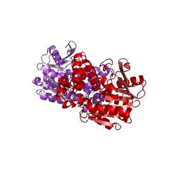 Example Structure of prolyl aminopeptidase EC#: 3.4.11.5