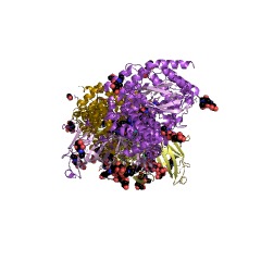 Example Structure of aminopeptidase B EC#: 3.4.11.6
