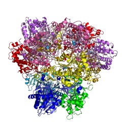 Example Structure of glutamyl aminopeptidase EC#: 3.4.11.7