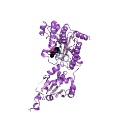 Example Structure of Xaa-Pro aminopeptidase EC#: 3.4.11.9