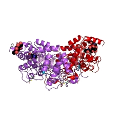 Example Structure of membrane dipeptidase EC#: 3.4.13.19