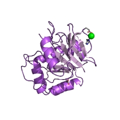 Example Structure of dipeptidase E EC#: 3.4.13.21