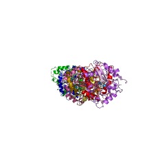 Example Structure of D-Ala-D-Ala dipeptidase EC#: 3.4.13.22