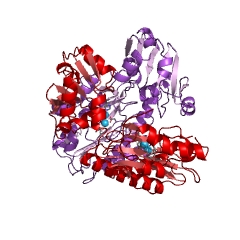 Example Structure of Xaa-Pro dipeptidase EC#: 3.4.13.9