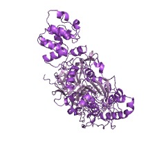 Example Structure of Xaa-Pro dipeptidyl-peptidase EC#: 3.4.14.11