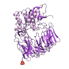 Example Structure of Xaa-Xaa-Pro tripeptidyl-peptidase EC#: 3.4.14.12