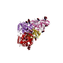 Example Structure of dipeptidyl-peptidase II EC#: 3.4.14.2