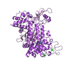 Example Structure of dipeptidyl-peptidase III EC#: 3.4.14.4
