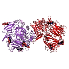 Example Structure of dipeptidyl-peptidase IV EC#: 3.4.14.5