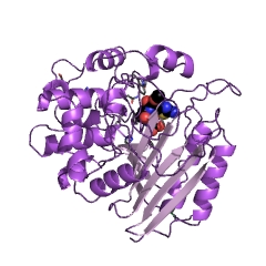Example Structure of serine-type D-Ala-D-Ala carboxypeptidase EC#: 3.4.16.4