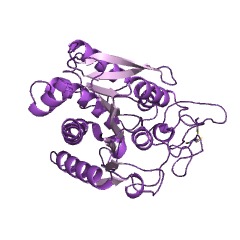 Example Structure of carboxypeptidase A EC#: 3.4.17.1